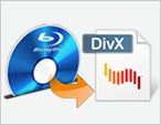 Blu-ray to DivX Ripper Review