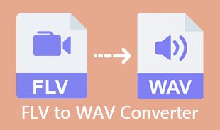 Best FLV To WAV Converter