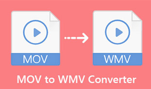 MOV to WMV Converter