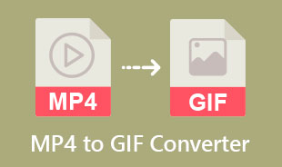 Best MP4 To GIF Converter