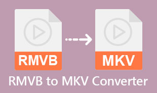 Best RMVB To MKV Converter