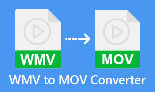 Best WMV To MOV Converter