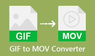 Top GIF to MOV Converter