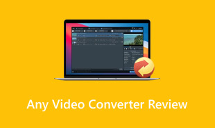 Any Video Converter Review