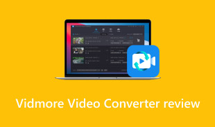 Vidmore Video Converter Review