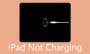 iPad Not Charging