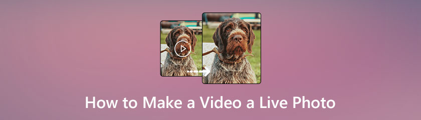 How to Make a Video a Live Photo