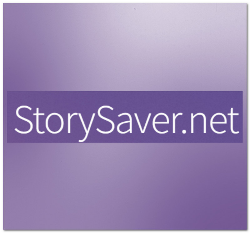 Story Saver Net