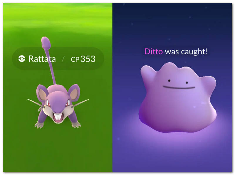 Catch Ditto Manually