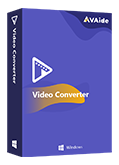 AVAide Video Converter