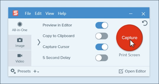 Snagit-gränssnitt