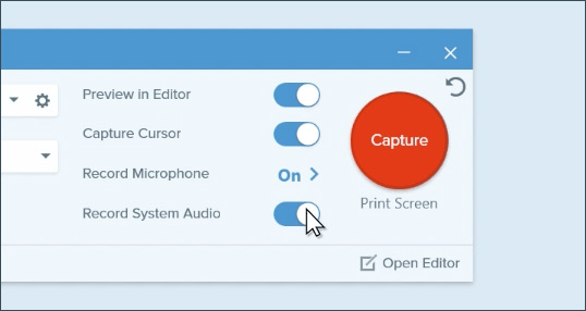 Snagit บันทึกวิดีโอ