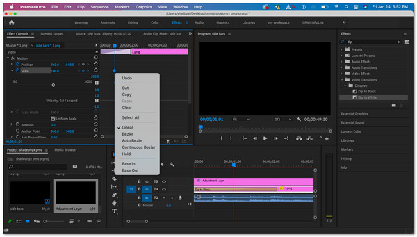Adobe Premiere