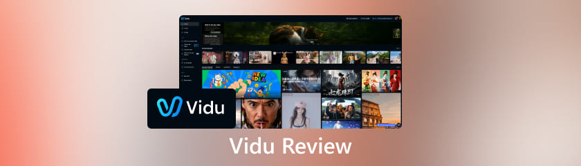 Recenze Vidu