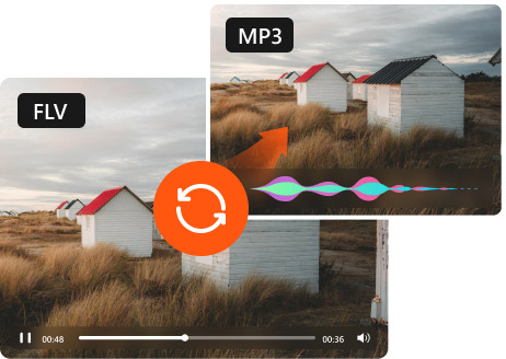 Konvertieren Sie FLV in MP3