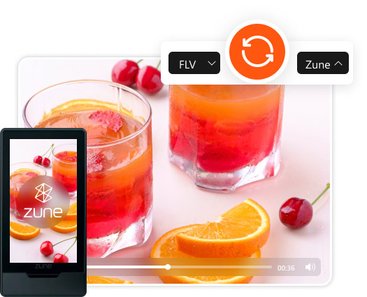 Convert Flv to All Zunes
