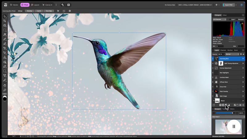 Affinity Studio Photo Editing Software