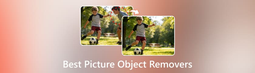 Best Picture Object Removers
