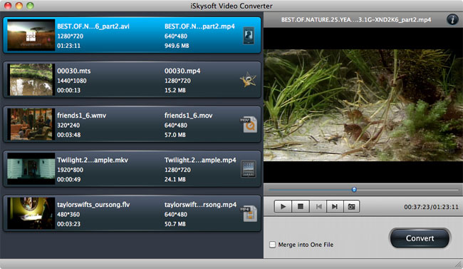iskysoft video converter mac download