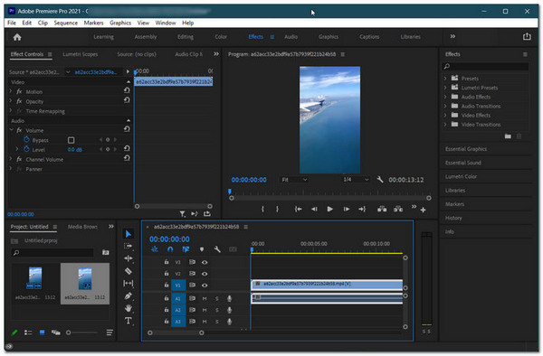 Premiere Pro