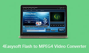 MPEG4 वीडियो कनवर्टर करने के लिए 4Easysoft फ्लैश