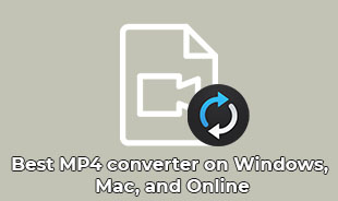 Windows Mac 및 온라인에서 최고의 MP4 변환기