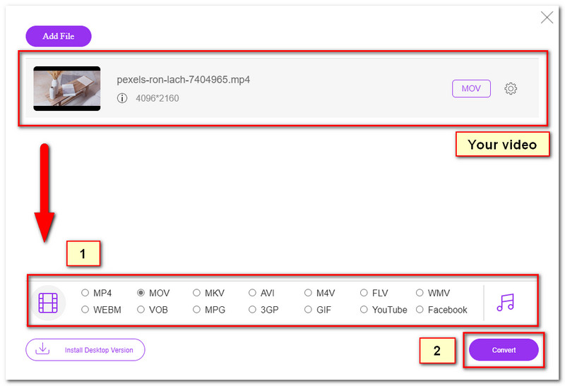 FVC Format Convert