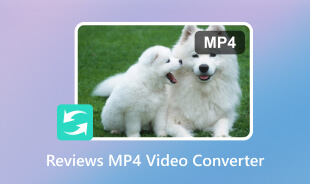 Reviews MP4 Video Converter