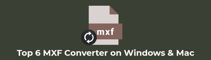 Recensioner MXF Converter