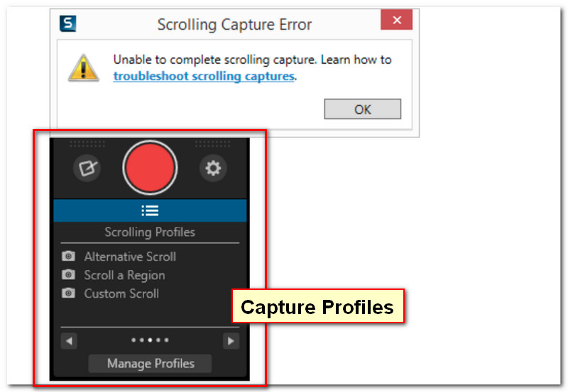 Snagit Capture Profile and Error Message