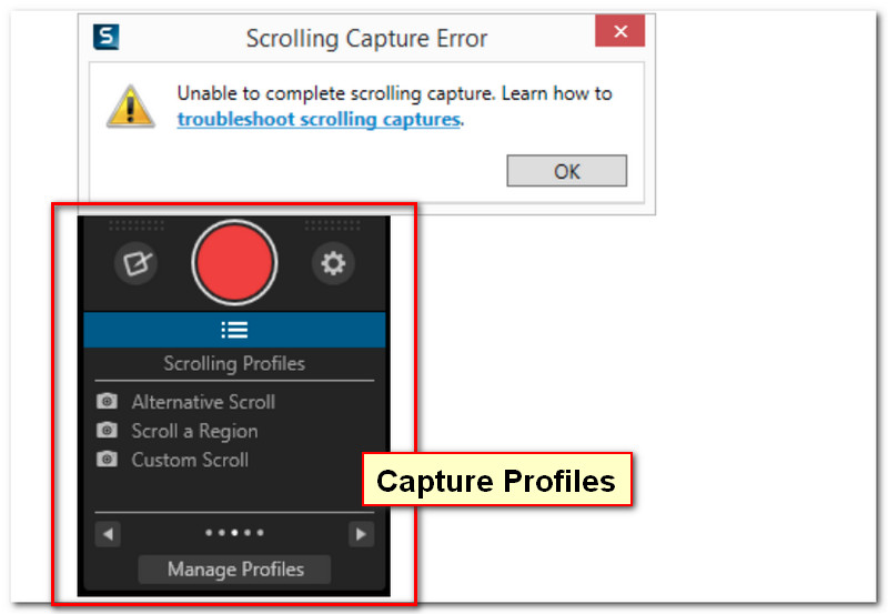 Perfil de captura de Snagit e mensagem de erro