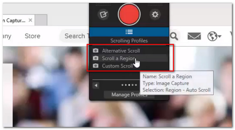 Snagit Scroll régió profil
