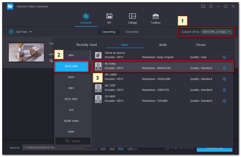Vidmore Converter Pilih Format 4k