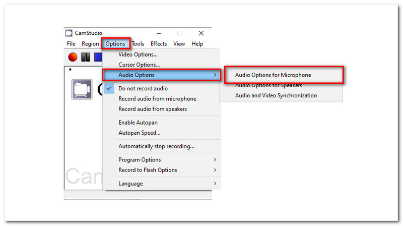 CamStudio-Audiooptionen