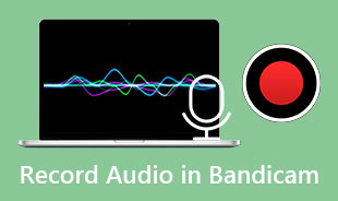Înregistrați audio în Bandicam