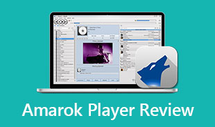 Amarok 플레이어 리뷰