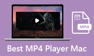Bedste MP4-afspiller Mac