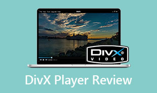 DivX 플레이어 검토