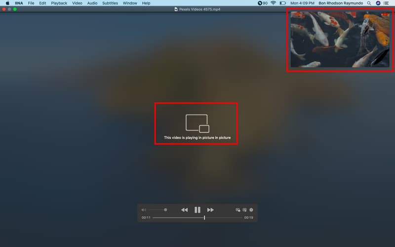 IINA Review Playback Support Picture In Picture