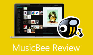 MusicBee recension