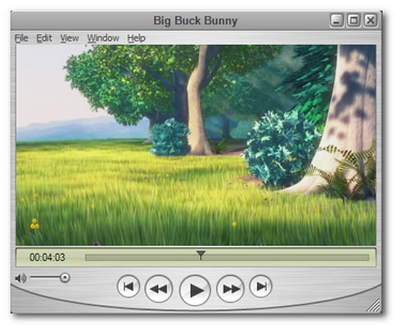 QuickTime Player Interface