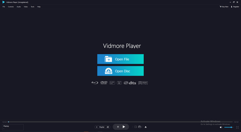 Interface de revisão do Vidmore Player