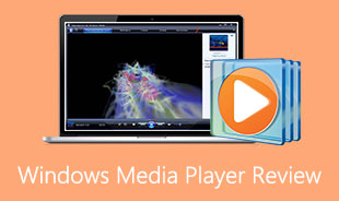 Revizuirea Windows Media Player