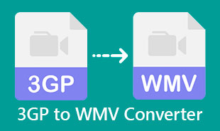 Bedste 3GP til WMV-konverter