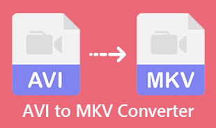 Bästa AVI till MKV-konverterare