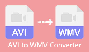 Bedste AVI til WMV konverter