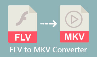 Bästa FLV till MKV-konverterare