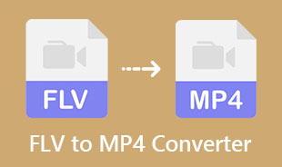 Bästa FLV till MP4-konverterare