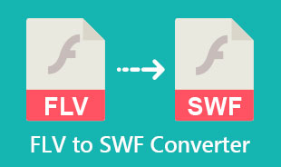 Công cụ chuyển đổi FLV sang SWF tốt nhất