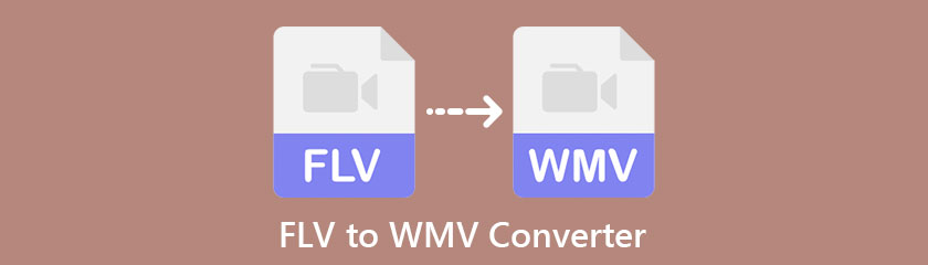 Beste FLV naar WMV-converter